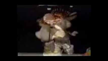 Мишка пее много смешно