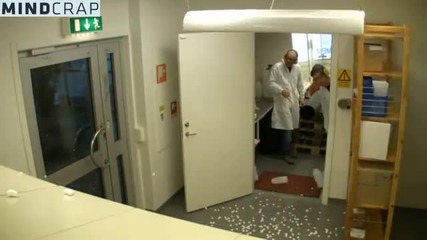 Експериментите са опасни