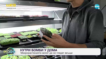 Силата на микрорастенията: Съвременните нутри бомби - „На кафе” (26.02.2020)