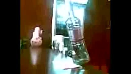 ~~takova nesht0 rqdko se vijda~~ 4 ~~