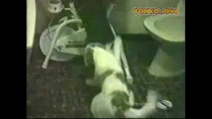 Компилация От Пребивания С Колело ( 100% Смях )