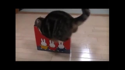 Забавни моменти- Компилация