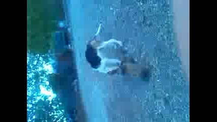 Vid_20121006_180443