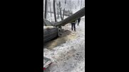 Моята новина: Паднало дърво затвори прохода Шипка за 5 часа