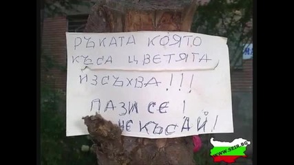 Ork.plam-maika ti da eba stoene