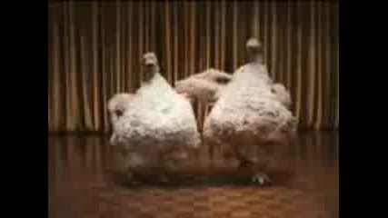 Chicken Dance