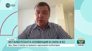 Иван Стойнев: Истанбулската конвенция ще действа в България, независимо, че не е ратифицирана