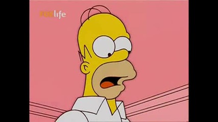 The Simpsons - S14e18 - Dude, Where Is My Ranch Bgaudio