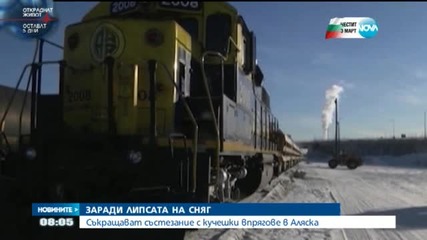 Съкратиха маршрута на най-известното състезание с кучешки впрягове в Аляска