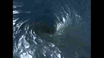 Водовъртежче 