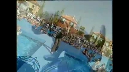 Cc Catch - Shake your Head (live fernsehgarten) 