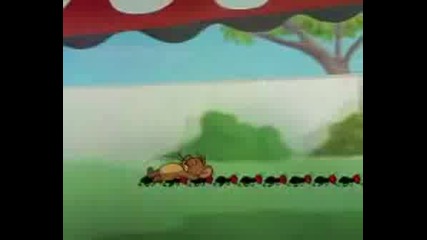 Tom And Jerry
