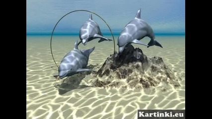 3d картинки на животни