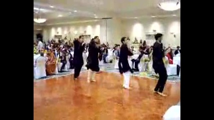 Punjabi Bhangra Dance at Pit Wedding Nyu students performing 