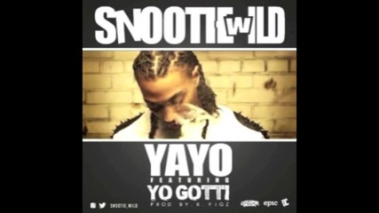 Snootie Wild feat. Yo Gotti & T.i. - Yayo Remix