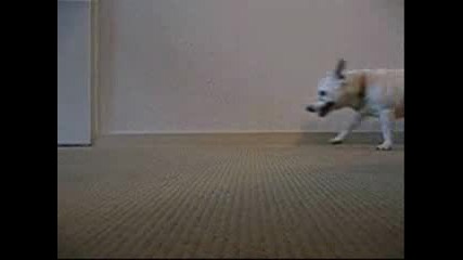 Very Funny Animated Gifs Part 60