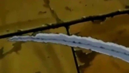Ichigo vs Kenpachi | Full Fight | English sub