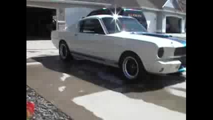 Ford Mustang Shelby Gt - 350 