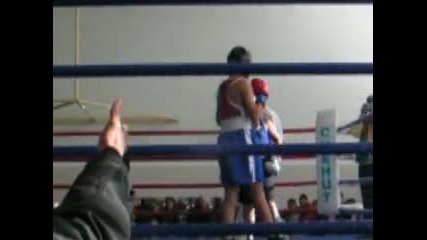 гратско по бокс 2009