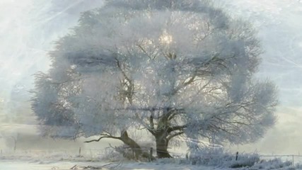 Дъхът на Снежната Кралица