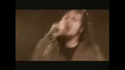 Pain Confessor - Lake Of Regret