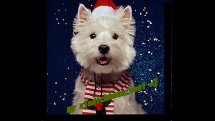 *inna - I need you for christmas*...