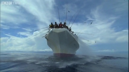 Bbc - начин за ловене на риба тон