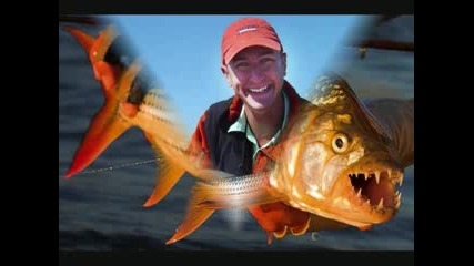 Animali strani.flv