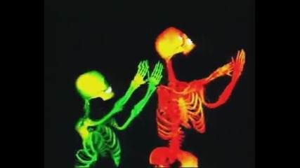 Camouflage - X - Ray 