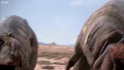 Dinasaurs Cannibalisim Planet Dinasaurs Bbc World Holywood Studio Belgesel Filmler 2015 Hd
