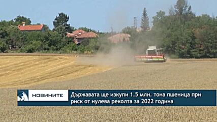 Държавата ще изкупи 1.5 млн. тона пшеница при риск от нулева реколта за 2022 година