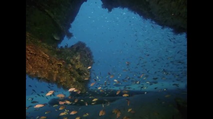 Красотата няма граници