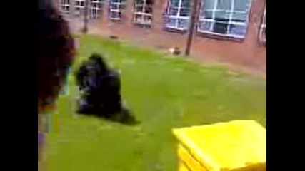 fat boy doing flip