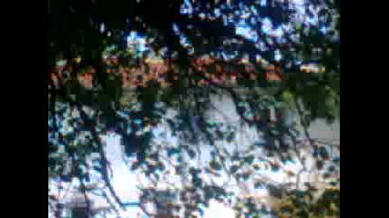 Ormandasin Sen Ya 2015 Hd