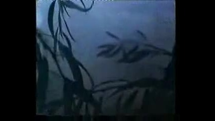 Cujo Trailer (1983)