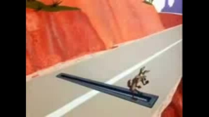 Road runner