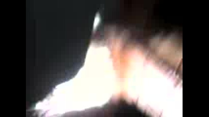 Mov00003.3gp
