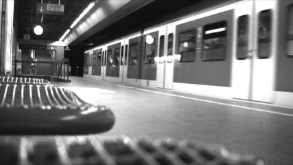 speed of life