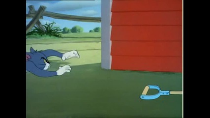 Tom and Jerry - Just Ducky 