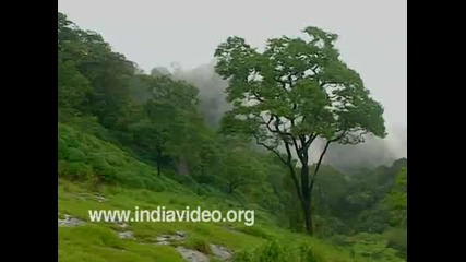 Munnar Hill Station Kerala 