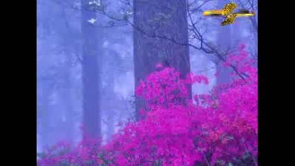 Axel Rudi Pell - Open Doors Part 2the Journey