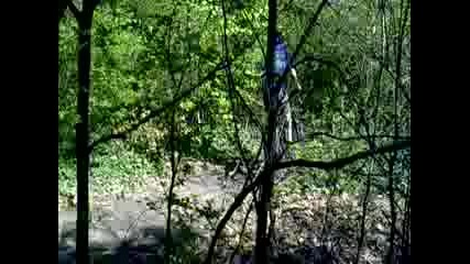 23042009001.mp4