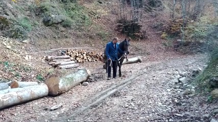 konete na lubo