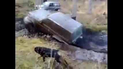 Джип звяр в гората