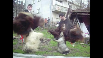 kukeri sredec 2010 sidera i mafiqta 