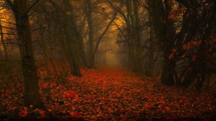 River of Despair - Falling Leaves