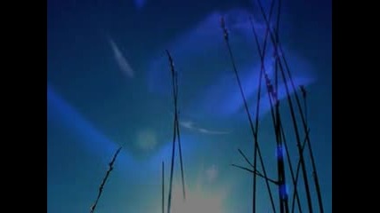 Najee - Sweet Love
