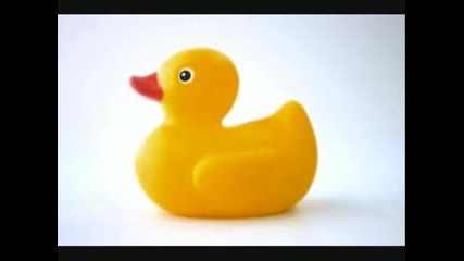 Rubber Duck Song