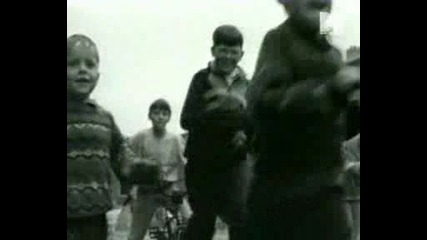 Cranberries - Ode to my family