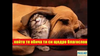 Обичаш . 